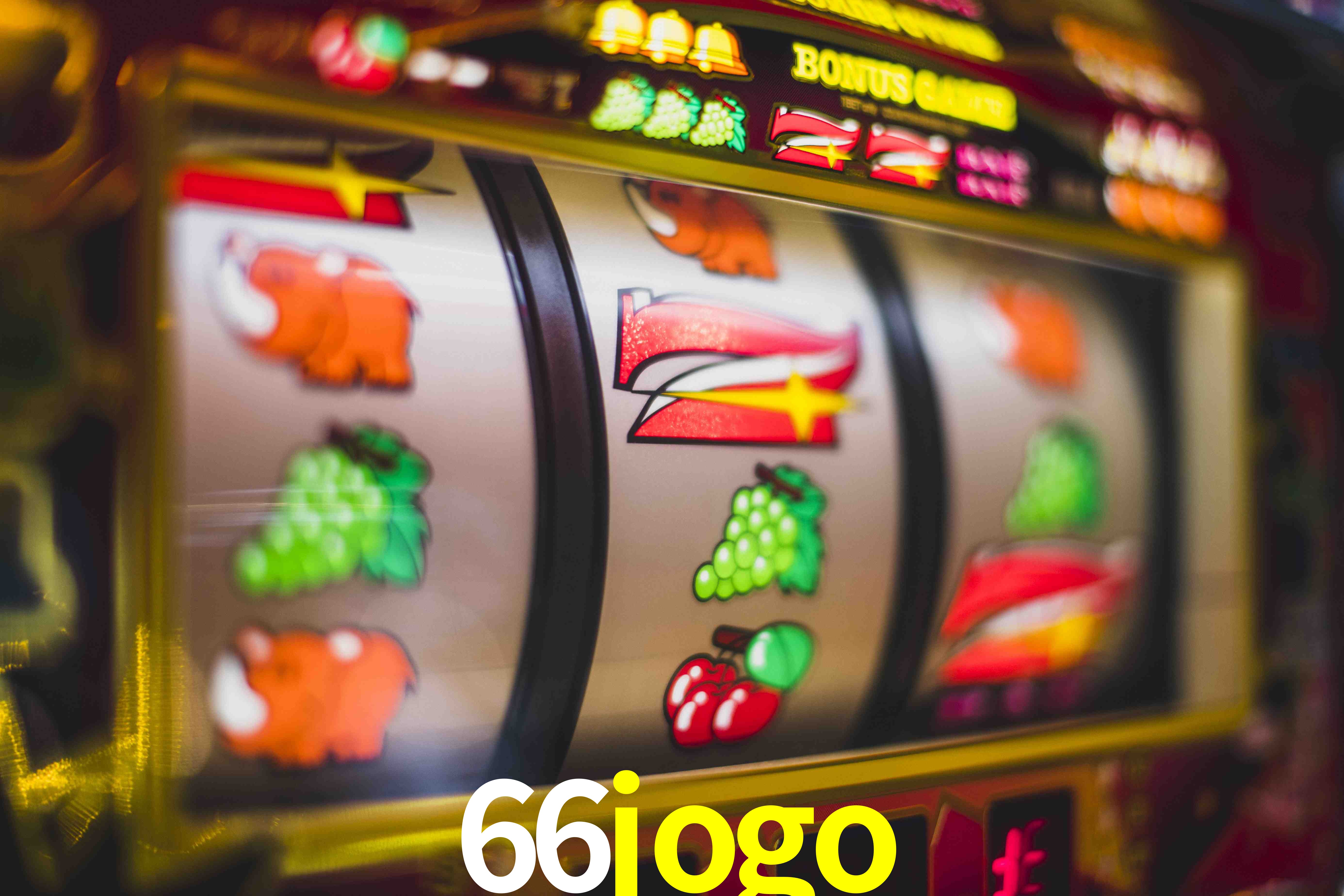 Football Betting 66jogo